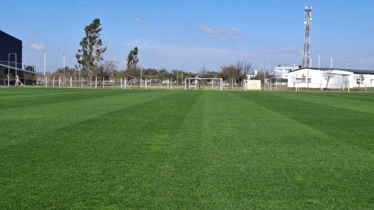 Una de las canchas del Complejo El Norte. El verde c&eacute;sped espera. 